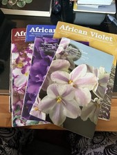 AVSA African Violet Society Of