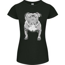 American Bully In Posizione