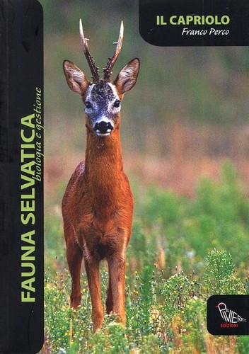 Capriolo il piviere - capriolo, [il