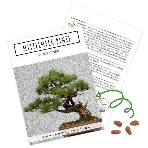 Semi per bonsai alto - semi, tasso