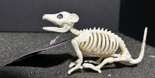 Halloween Baby Opossum