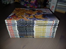 I CAVALIERI DELLO ZODIACO