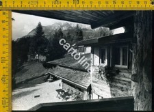 Belluno montagna Cadore