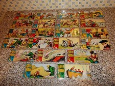 FALCO BIANCO STRISCIA III