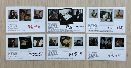 Polaroid nobuyoshi araki - nobuyoshi,