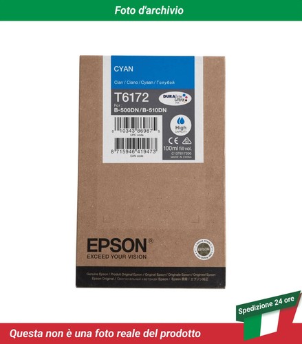 T617200 epson 500dn - t617200, b-500dn