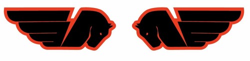 Adesivi sticker buell - 2,