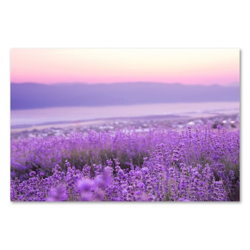 Postereck 2702 poster - , tela