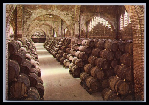 Cartolina cavas codorniu - cartolina,