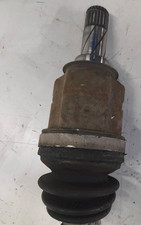 13248652 Semialbero ant