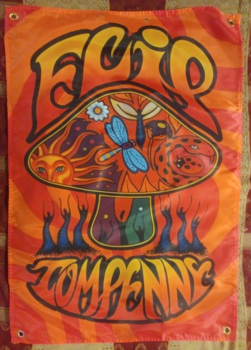 Tom penny flip skateboard - flip,