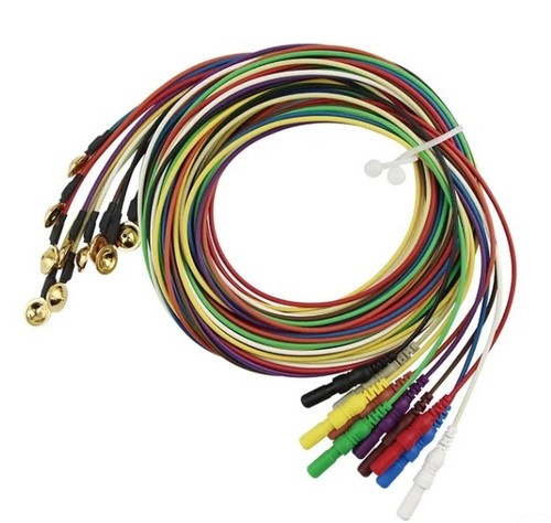 Eeg gold cup elettrodi filo - eeg,