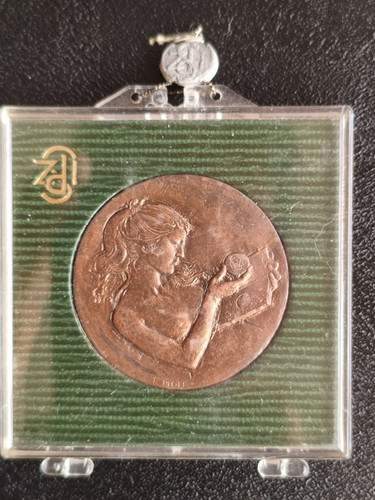 Medaglia bronzo - medaglia, in