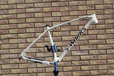 Telaio 29 Specializzato