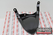 Parafango posteriore carbonio