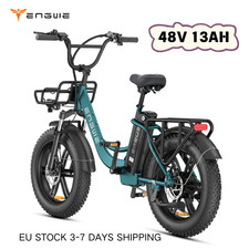20'' Fat L20 Boost E-Bike 250W