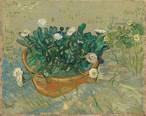 Dipinto olio mano - dipinto,