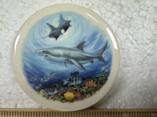 Sea life frigorifero ceramica - sea,