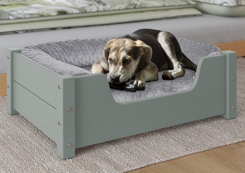 Accogliente letto per cani - , e