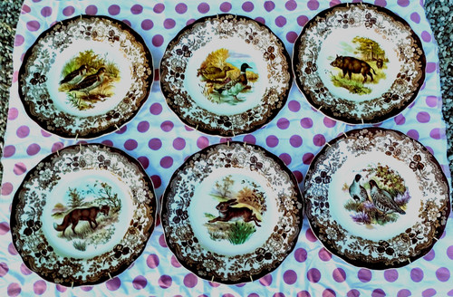Set piatti inglesi marchio