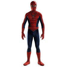 Costume Raimi Spiderman Stampa