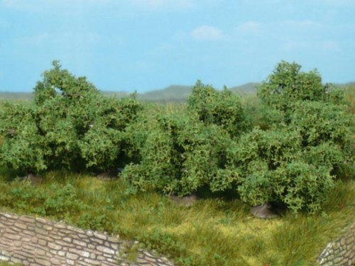 Heki 1735 cespugli - 1735, cm