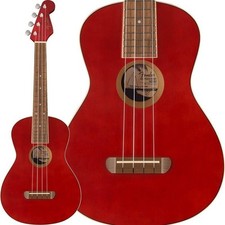 Fender Acoustics Spring Classe