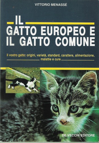 Menassé gatto europeo e - menassé:, il