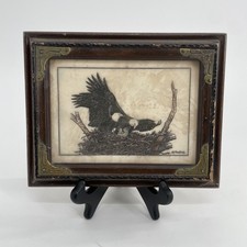 David R Mueller aquila calva