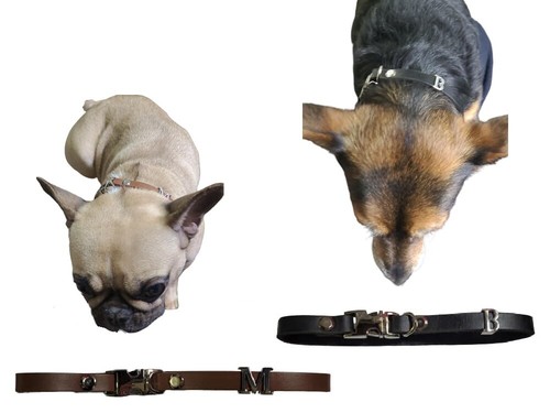 Collare cuoio per cani - cuoio, gatti