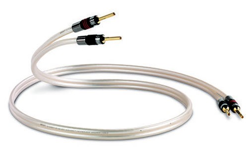 Qed reference xt40 - qed,