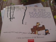 CALVIN AND HOBBES - E' UN