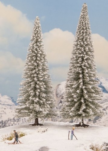 Noch alberi di - noch,, 2