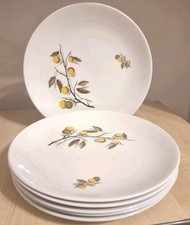 Johnson Bros Snowhite