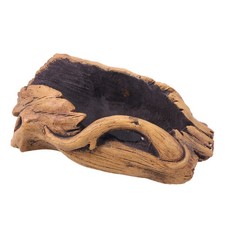  Carini vasi da fiori