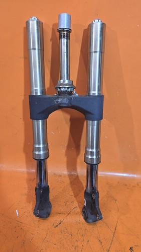 Forcella anteriore augusta - forcella,