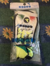 Shin Pads/guards Parastinchi