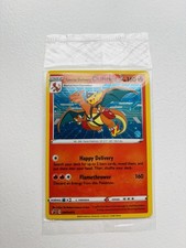 Special Delivery Charizard