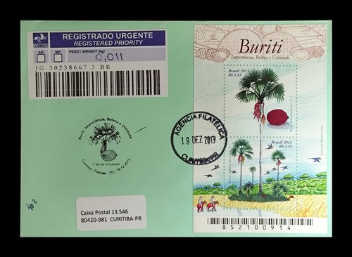 Buriti 2013 brasile frutta - buriti,