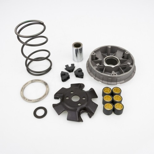 10261325 pinasco variatore - 10261325,