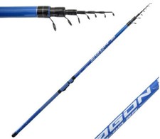 Canna Bolognese agon 5 Metri