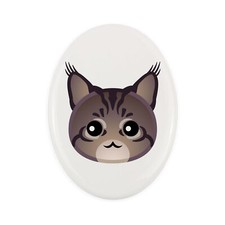 Maine Coon lapide con un gatto