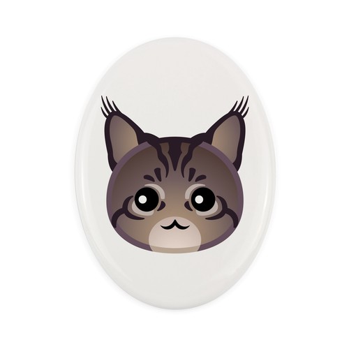 Maine coon lapide con - con, un