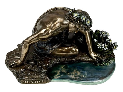 Statua narciso suo - il,