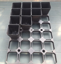 PANNELLO PORTAVASI + 24 VASI QUADRATI CM.8x8x9 - ARIOCARPUS ASTROPHYTUM ITALIA