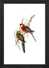 Poster arte da parete con