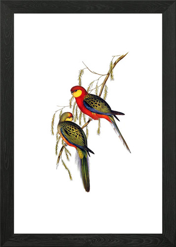 Poster arte parete con - arte,
