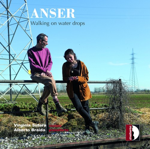 Anser walking water - anser, drops