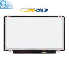 Display LCD Acer ASPIRE N17Q4