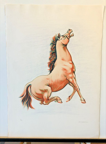 Francesco messina cavallo - francesco, 'cavallo'